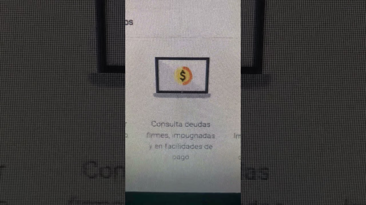 Ver deudas en el SRI 