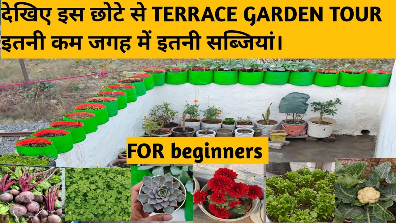 Terrace garden tour overview of small terrace garden. 