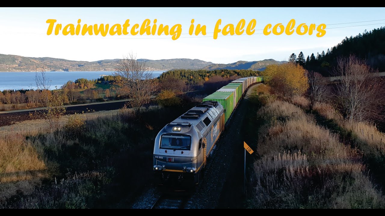 Trainwatching in fall colors (Tr&oslash;nderbanen)