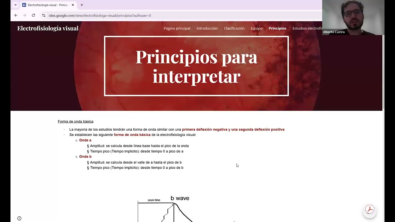 Voltajes que ven: Ciencia y Arte de la Electrofisiología visual - Dr Rafael Mendez