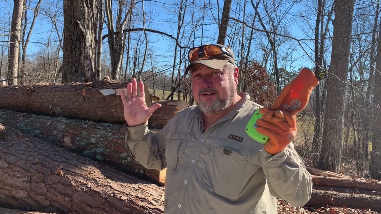 Pricing an average 8ft pine log.