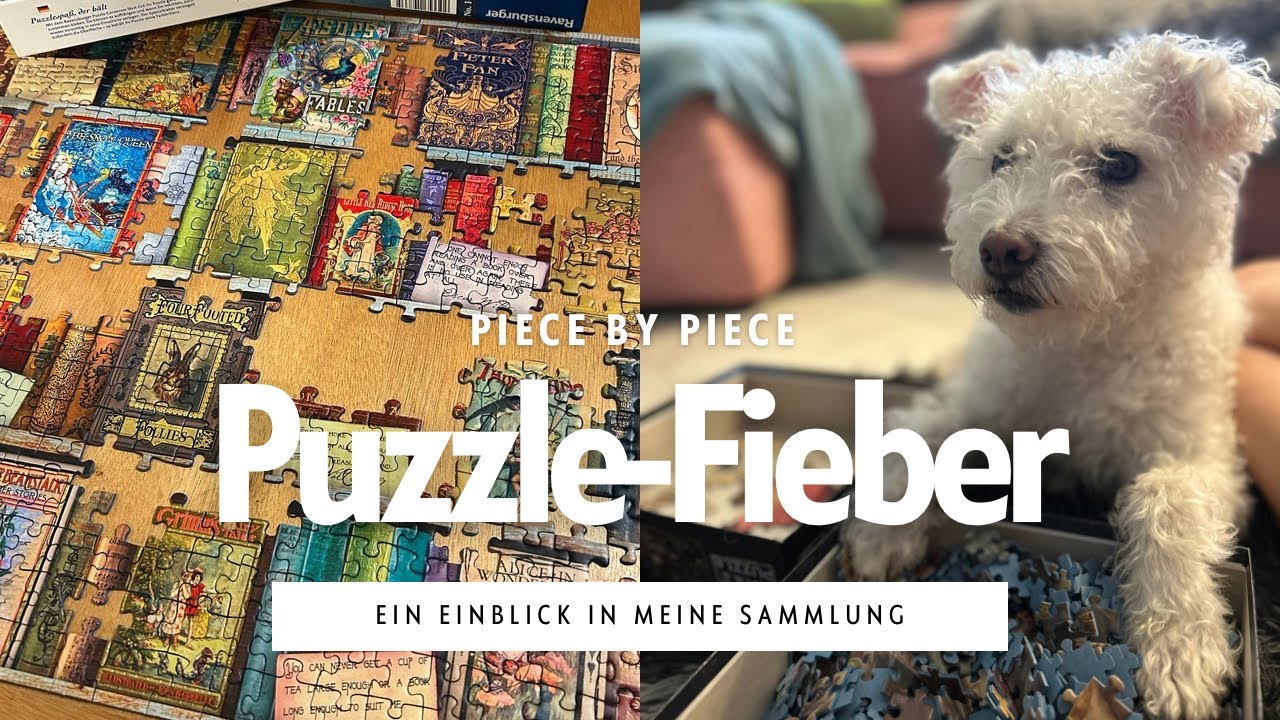 🧩 Meine Puzzle-Sammlung