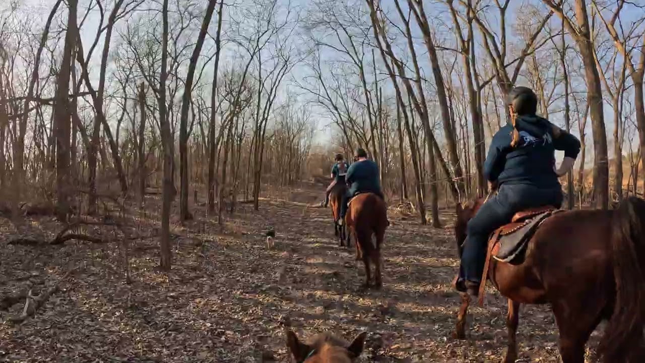 Smoke on the trail? 2/16/26