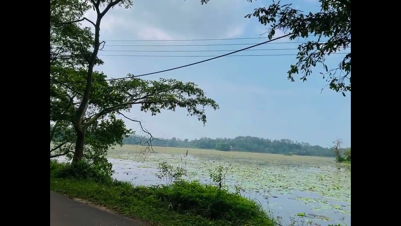 කාලයක් උදේ හවස දැකපු බොරාල වැව...අද දකින්නෙම නැති තරම් 🥹#friends #lifeisbutadream #nature 