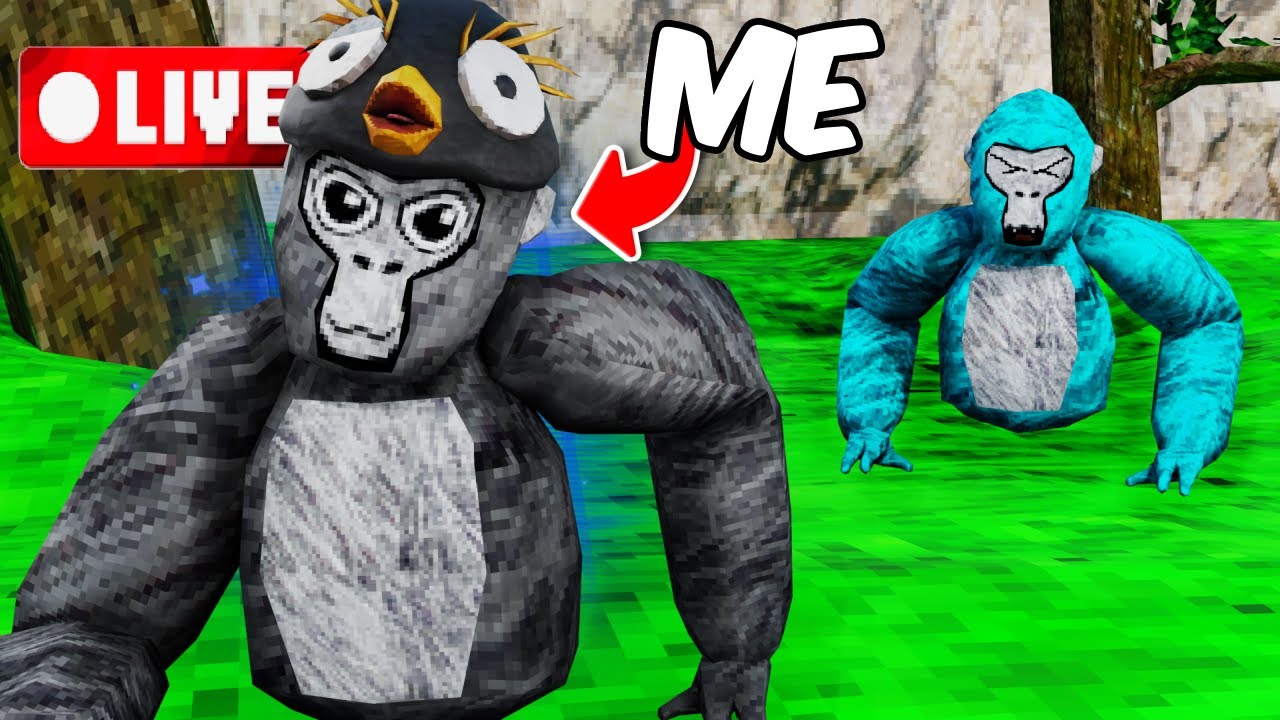 🔴GORILLA TAG LIVE 🔴(SUB = SHOUTOUT)