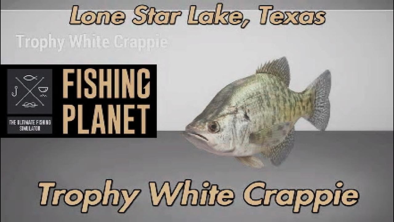 Trophy White Crappie Lone Star Lake Texas Fishing Planet Guide
