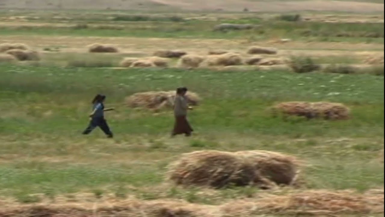 Bu Türküler'le Büyüdük Eski Türküler Gurbet Türküleri / Şükran Yıldırım