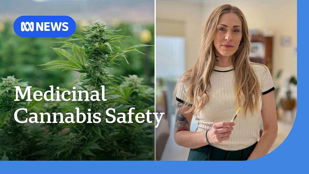 Oversight of medicinal cannabis scarce despite adverse event reports | ABC NEWS