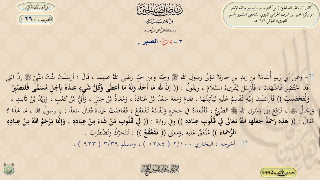 شرح رياض الصالحين ، الحديث 29 || د. ماهر ياسين الفحل