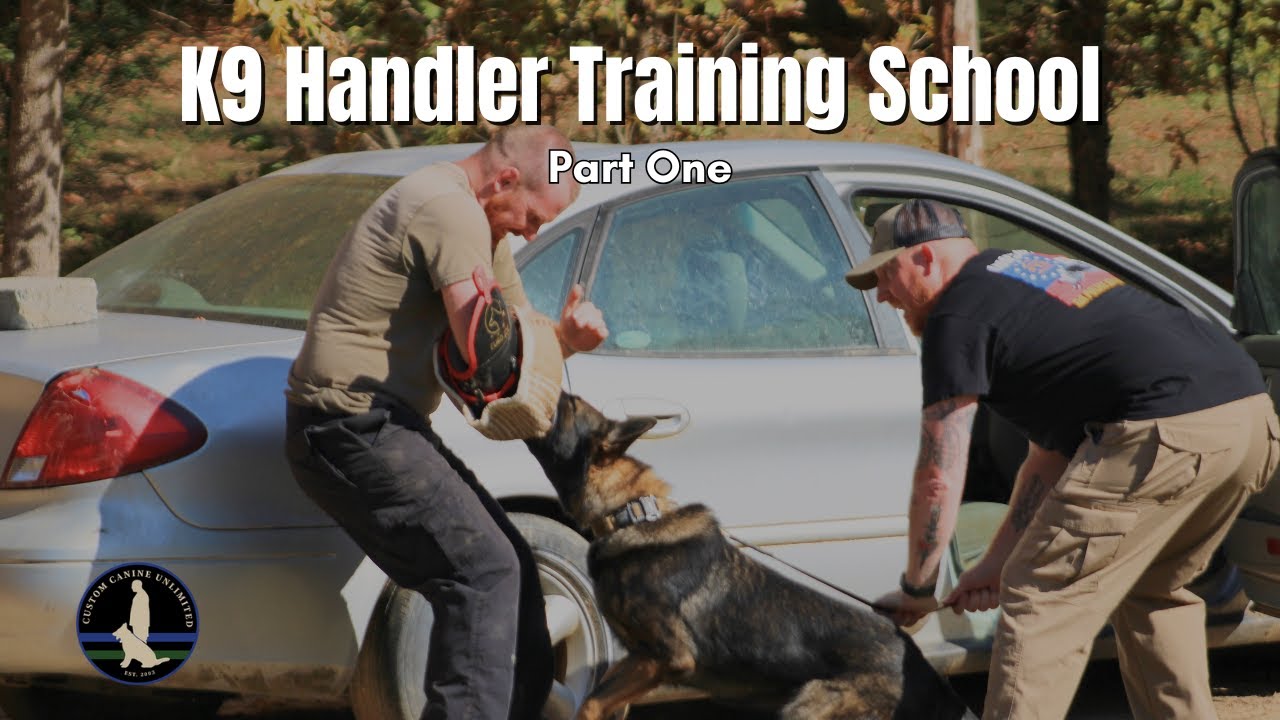 K9 Handler Training School (Part One) | SOURCE