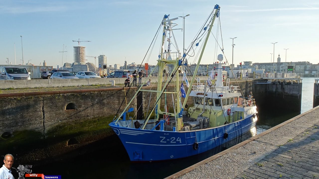 Z 24 Elia nieuwe garnalenkotter