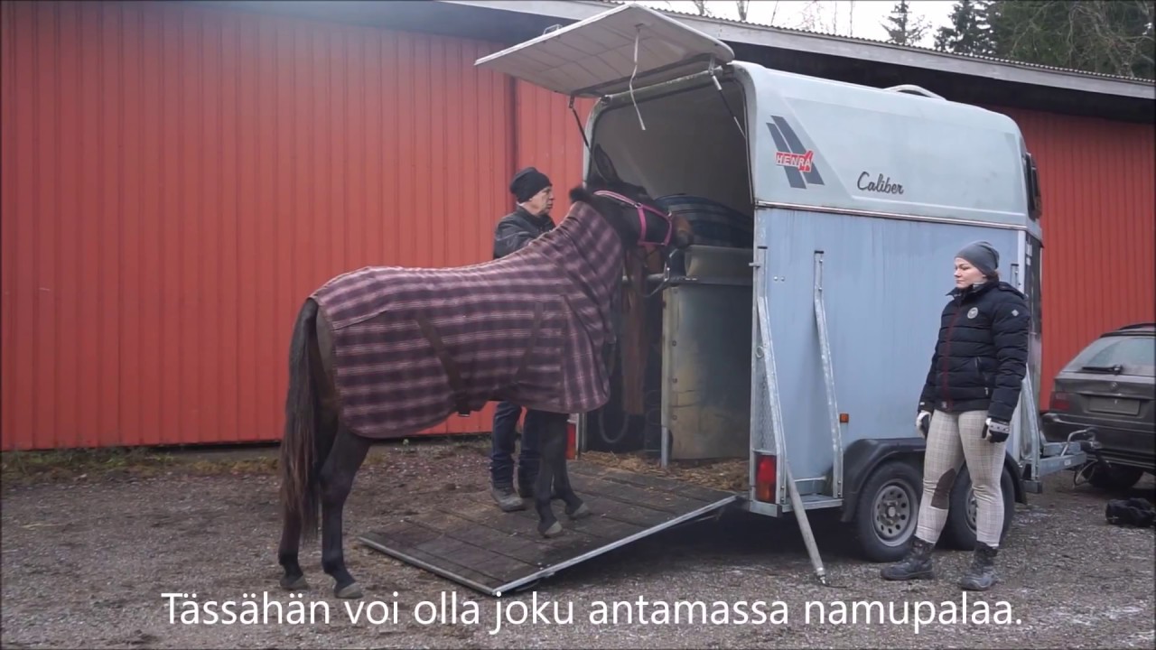 Kari Vepsä lastaa Muulin traileriin 15.11.2017