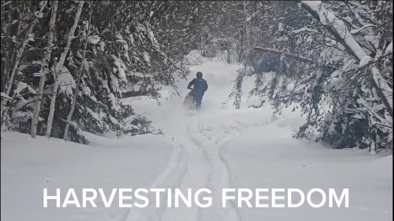 Breaking trails