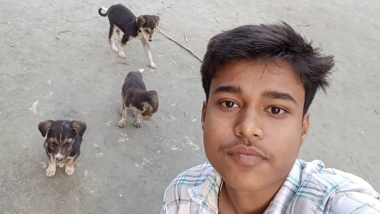 Total dogs in my 🏠🏡🐕🐕