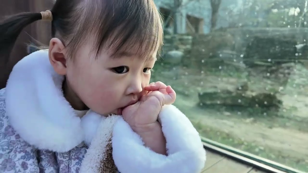 동물을 좋아 하는 유죠미의 일상