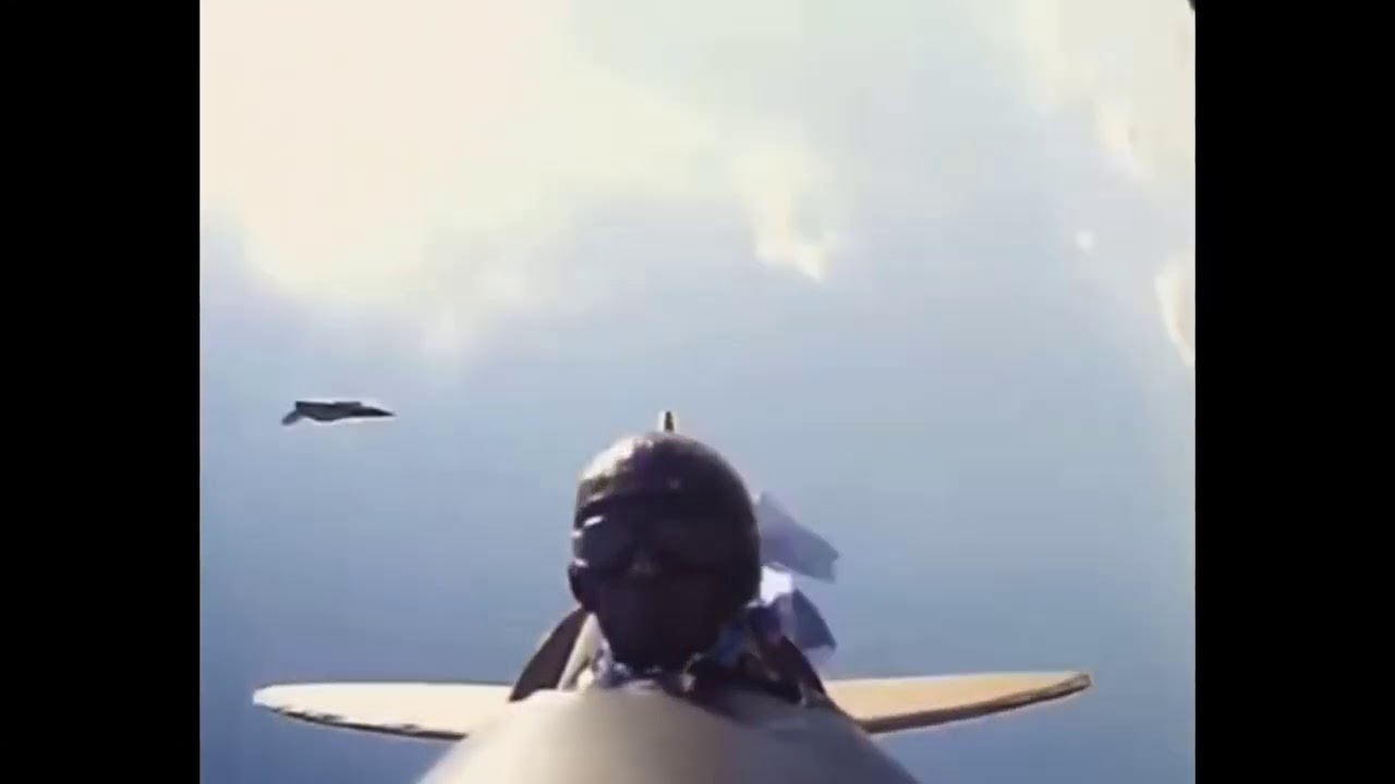 Bird Attacks RC Plane