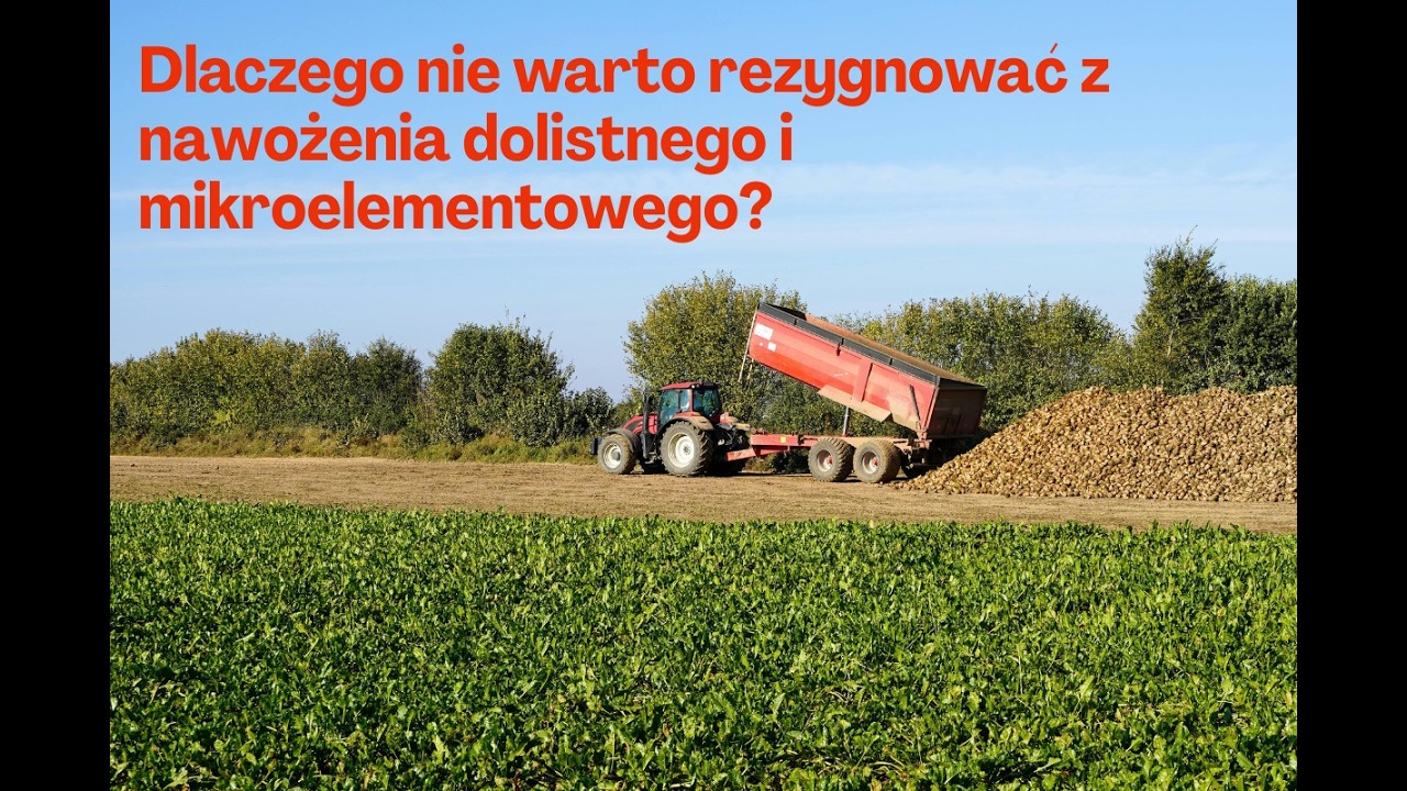 Nawożenie dolistne to tylko 1–2% kosztów. Rezygnując oszczędzasz grosze, ryzykujesz plon