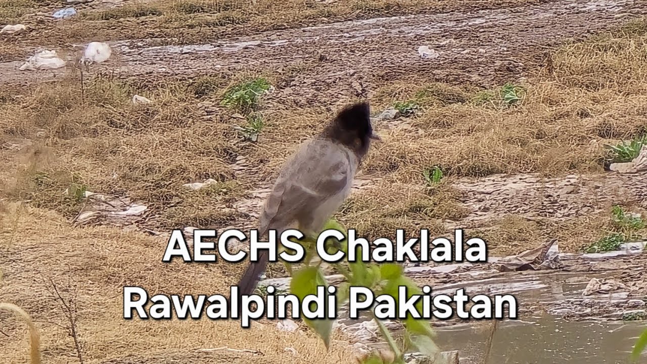 AECHS Chaklala Rawalpindi Pakistan #subscribe #travel #nature #viralvideo #aechs #Chaklala