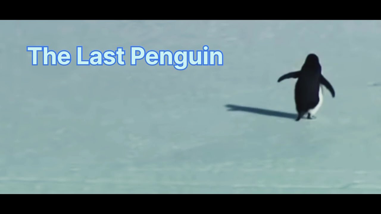 BUT WHY ? || Penguin Depressed 🐧