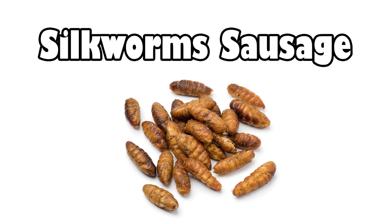 Silkworms Sausage