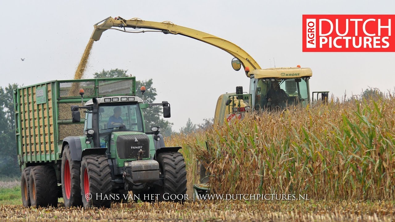 Mais hakselen 2017 | Krone Big X 600 | Verhoeven - Aarle-Rixtel | Maishäckseln | Harvesting maize