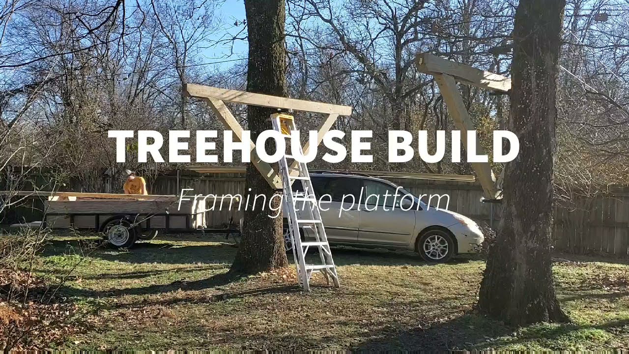 Treehouse - Platform framing