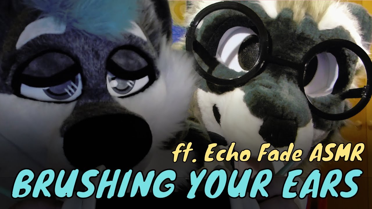 [Furry ASMR] Brushing Your Ears (with @EchoFadeASMR)