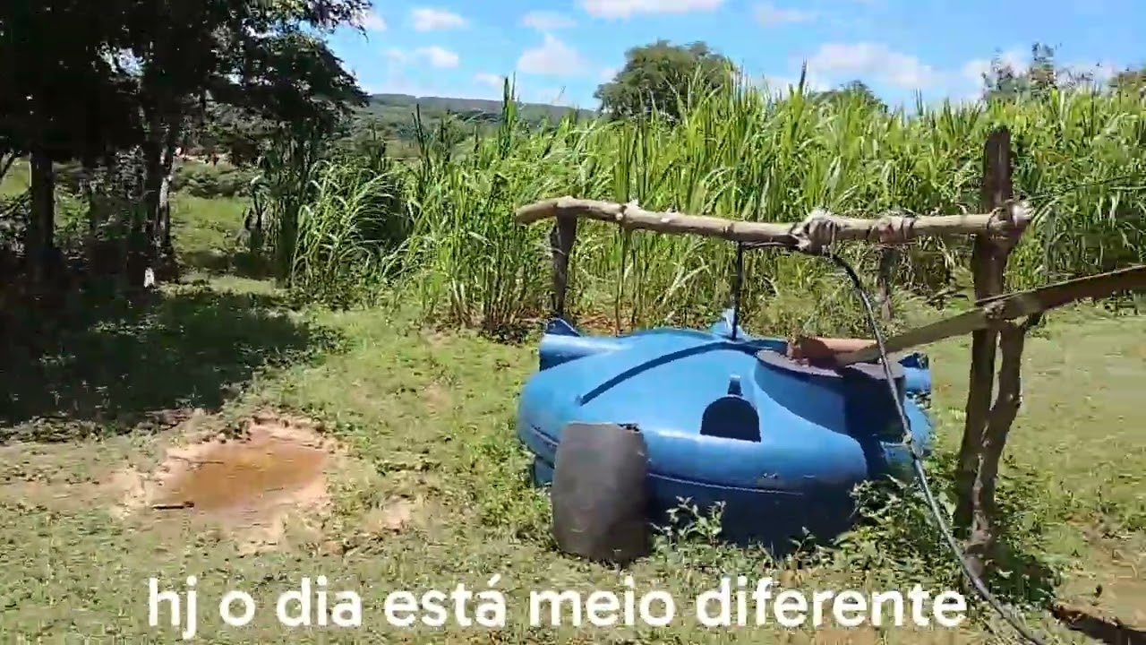 14 de fevereiro de 2026