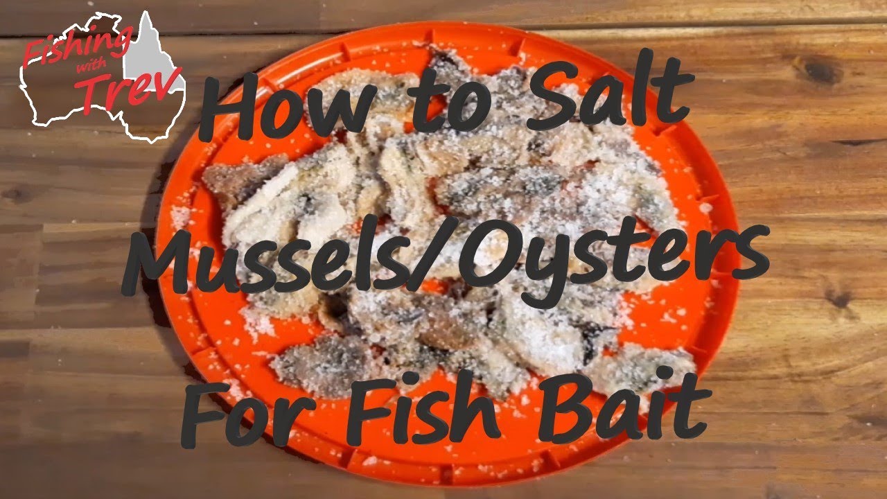 How to Salt Bait for Fishing - Mussels / Oysters