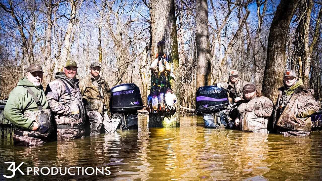 Arkansas Public Land Duck Hunting | Late Season Mallards