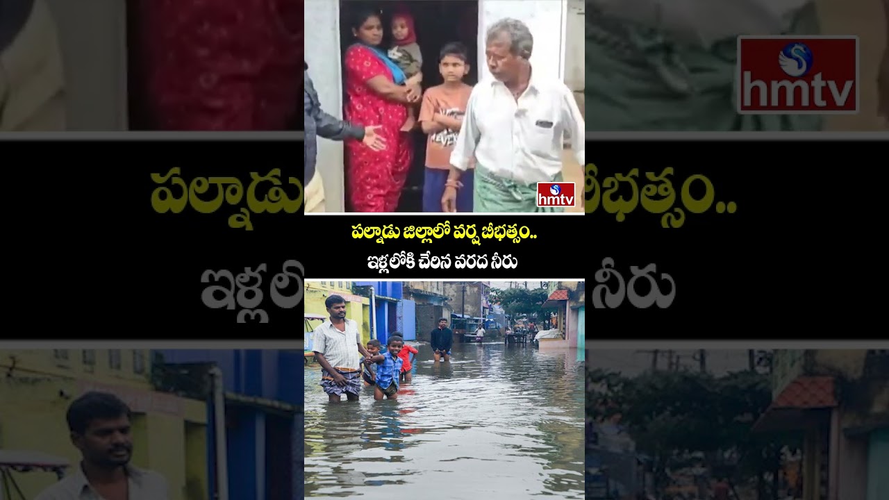 పల్నాడు జిల్లాలో వర్ష బీభత్సం..ఇళ్లలోకి చేరిన వరద నీరు | Palnadu District | Heavy Rains | hmtv