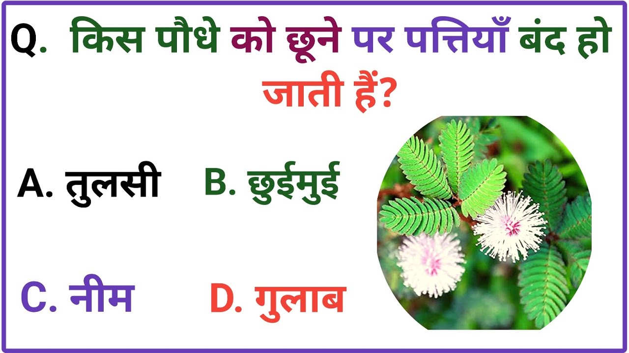 Gk Question || Gk in Hindi || General Knowledge || Gk Quiz || Gk Question Answer || 