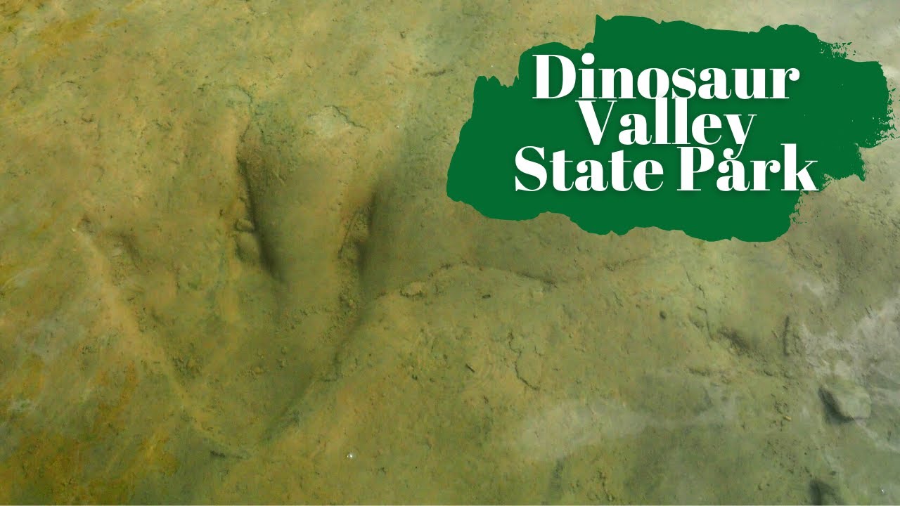 Dinosaur Valley State Park - Texas State Park 32/89