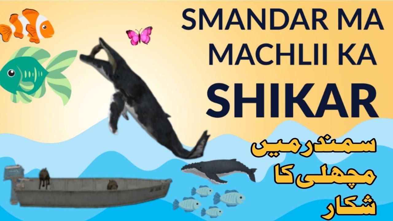 Machlii Ka shikar| مچھلی کا شکار| saraiki cartoon network| comedy