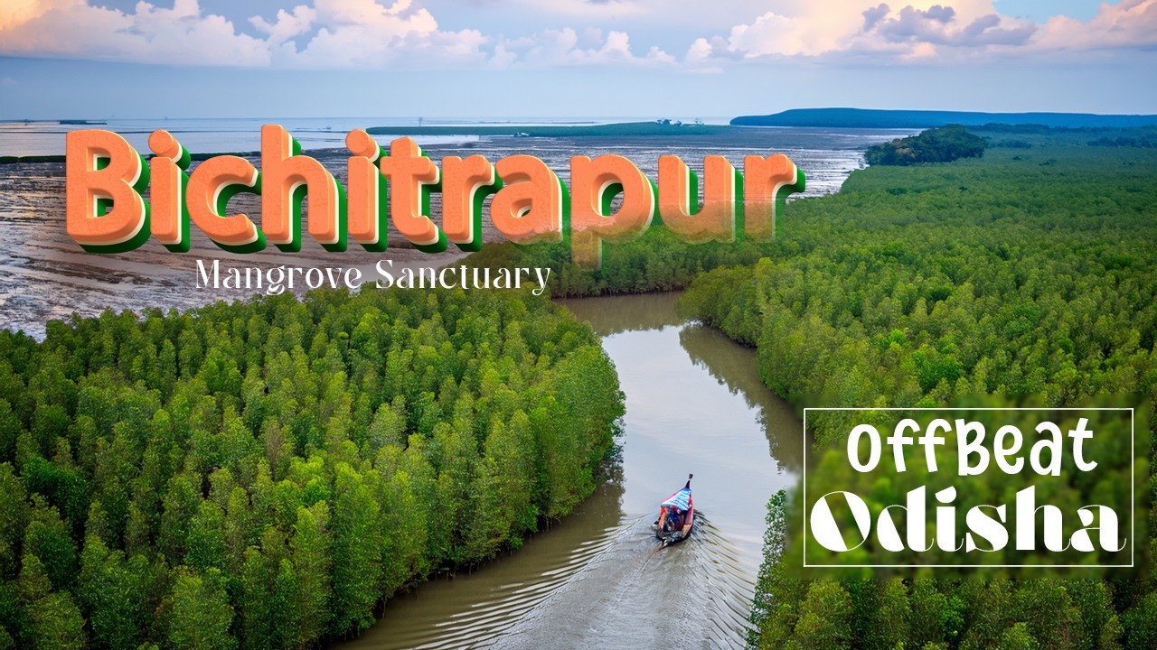 দীঘা থেকে ওড়িষ্যার বিচিত্রপুর ভ্রমণ | Bichitrapur Mangrove Sanctuary | Offbeat Odisha