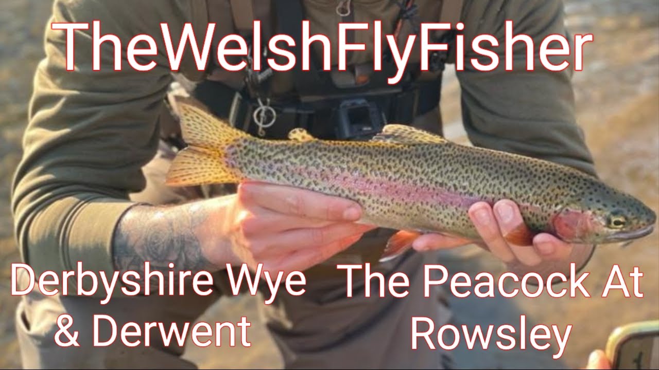Fly fishing The Derbyshire Wye & River Derwent