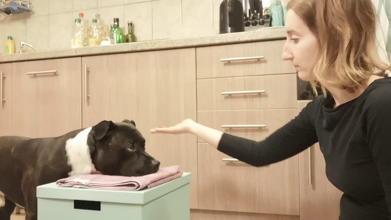 VaMP - týden 3 - fixace 1 - hlava na targetu