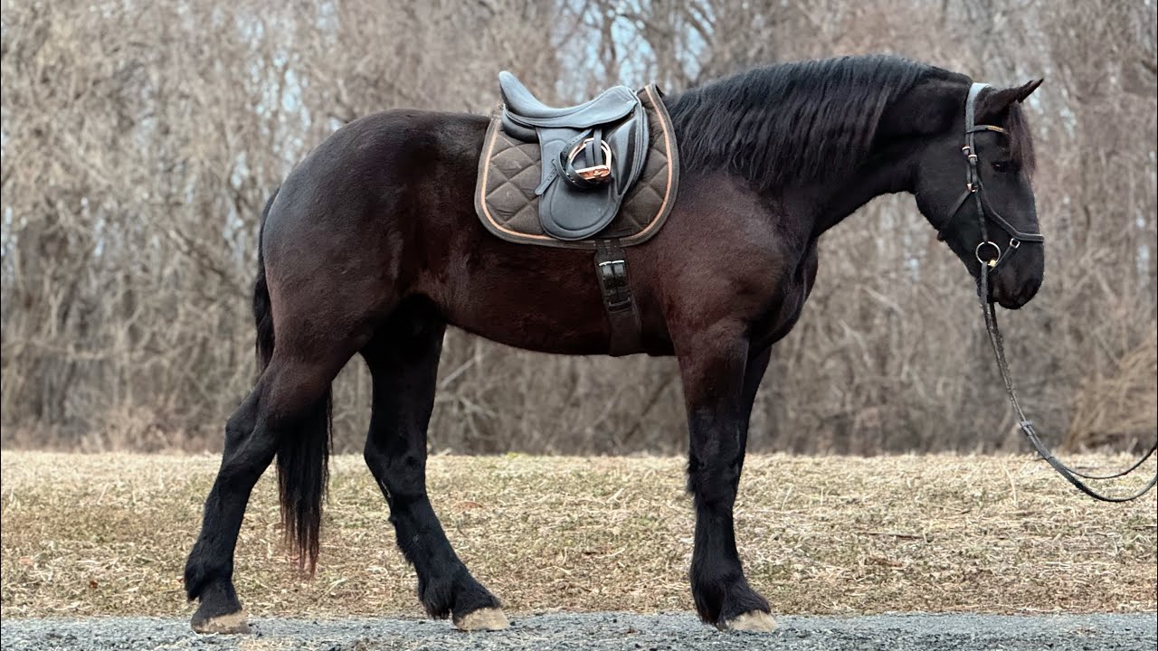 “Lux” on the trails 