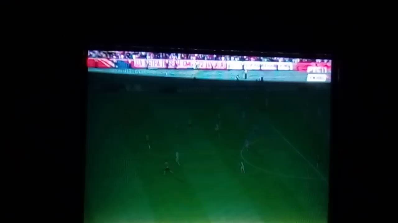 1-0 ZVEZDA jan bojis