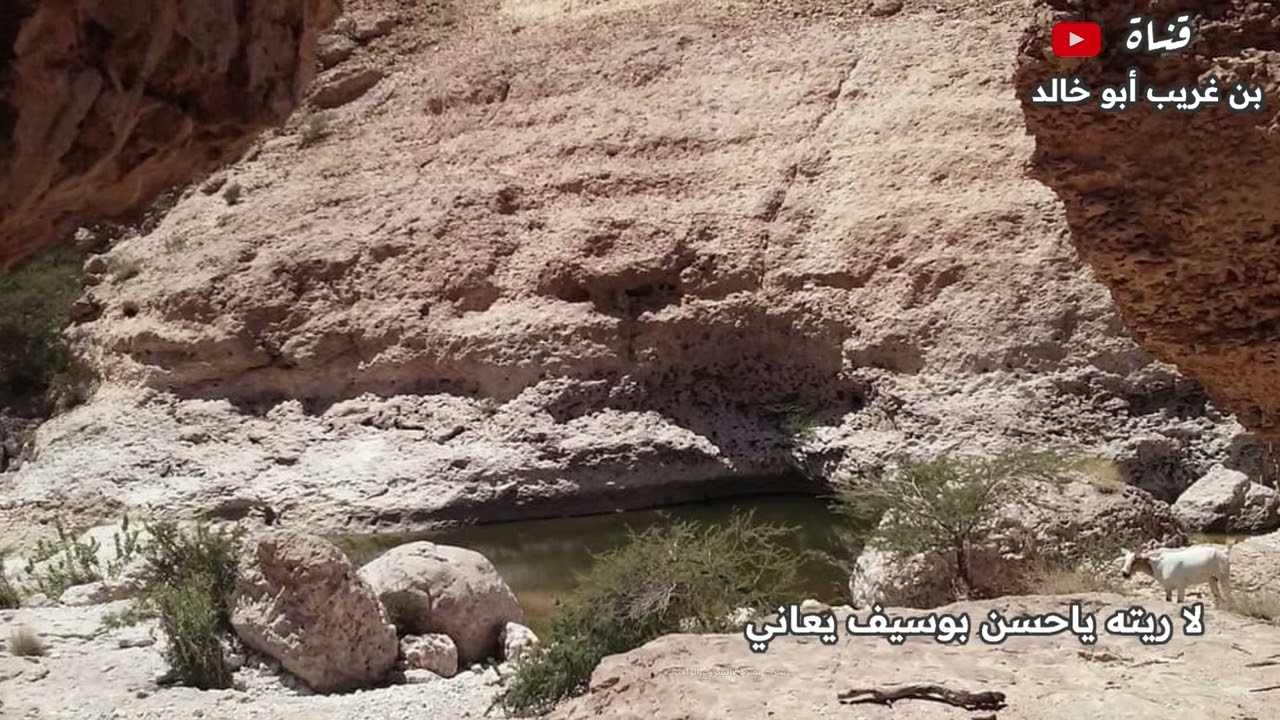 جديد وحصري 
