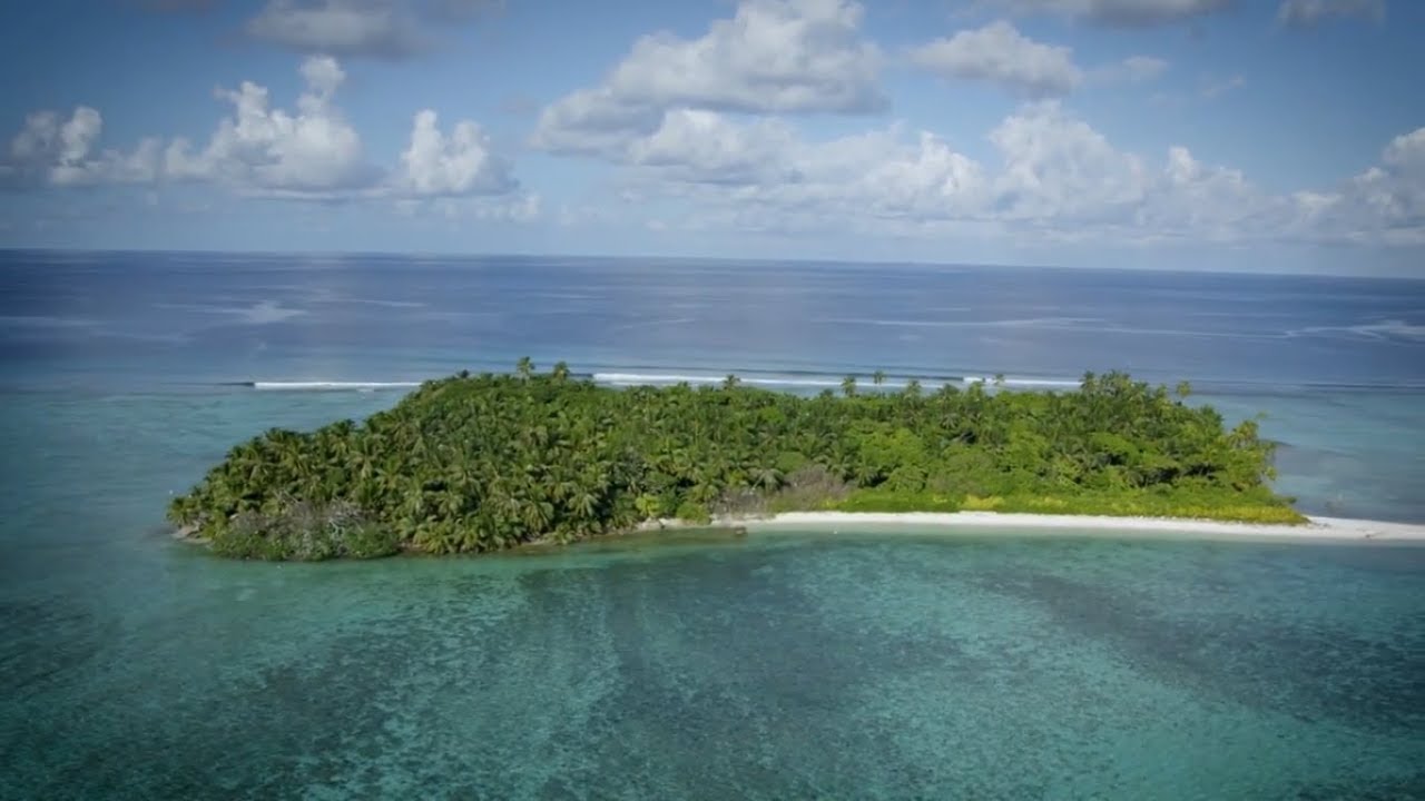 Protecting the Environment of the British Indian Ocean Territory