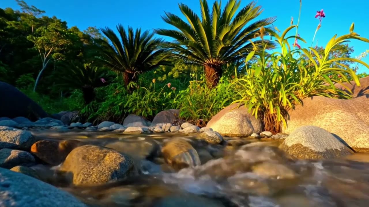 Gentle River Flow for Bedtime Relaxation