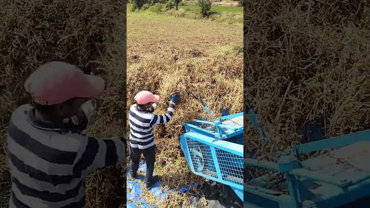 New Best Thresher For Soyabean Harvesting With Quality #farmer #farming #tractor #star