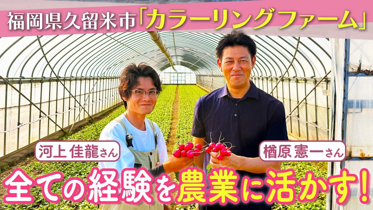 【雇用就農】（株）カラーリングファーム 河上佳龍さん（福岡県久留米市）