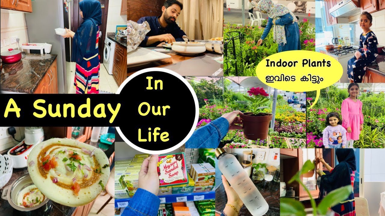 ഞായറാഴ്ച ദിവസം👏Mindful Morning Routine of Indian Mom|Indoor Plant Market🌿|Day In My Life Malayalam