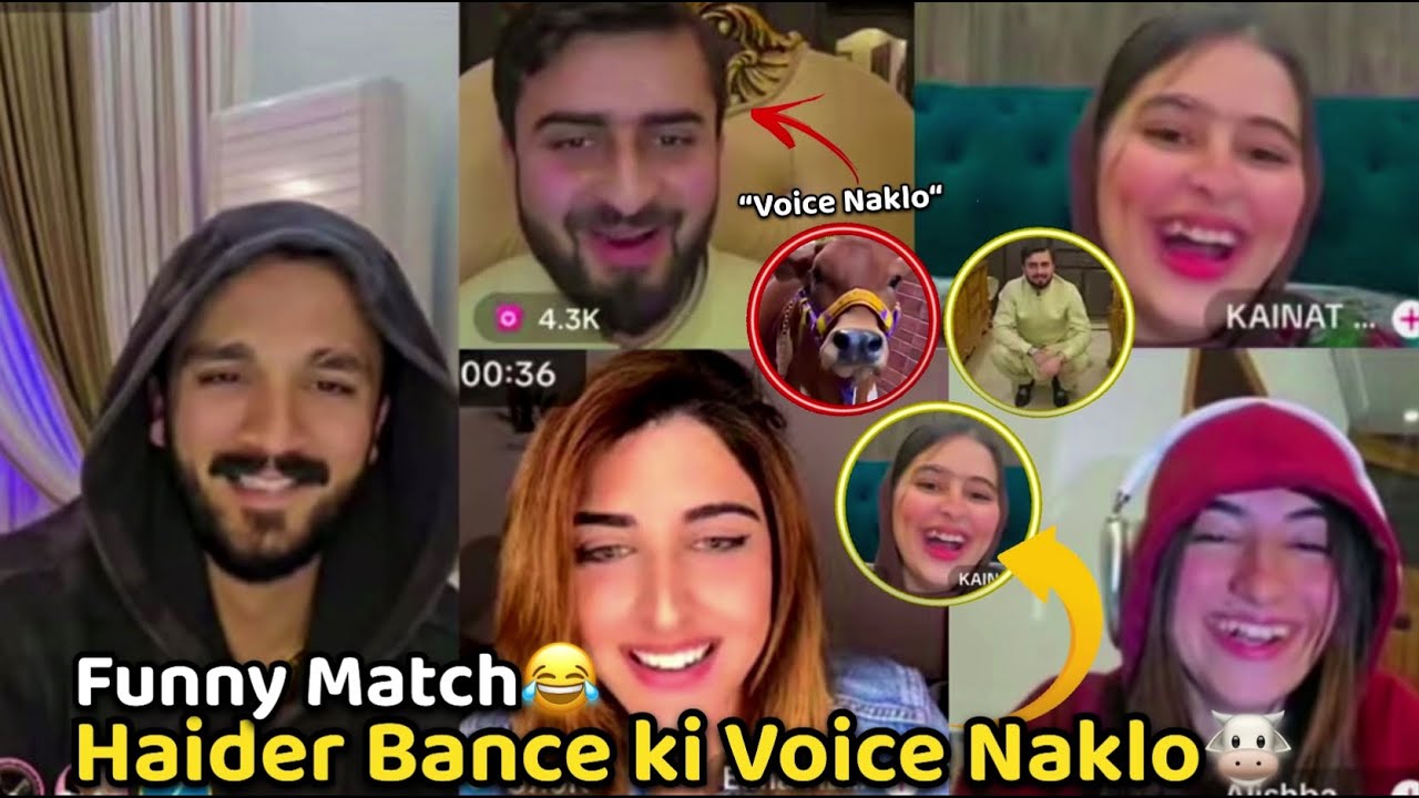 Haider Bance ki Voice Naklo 🐮 l Haide & Elma Funny Match 😂
