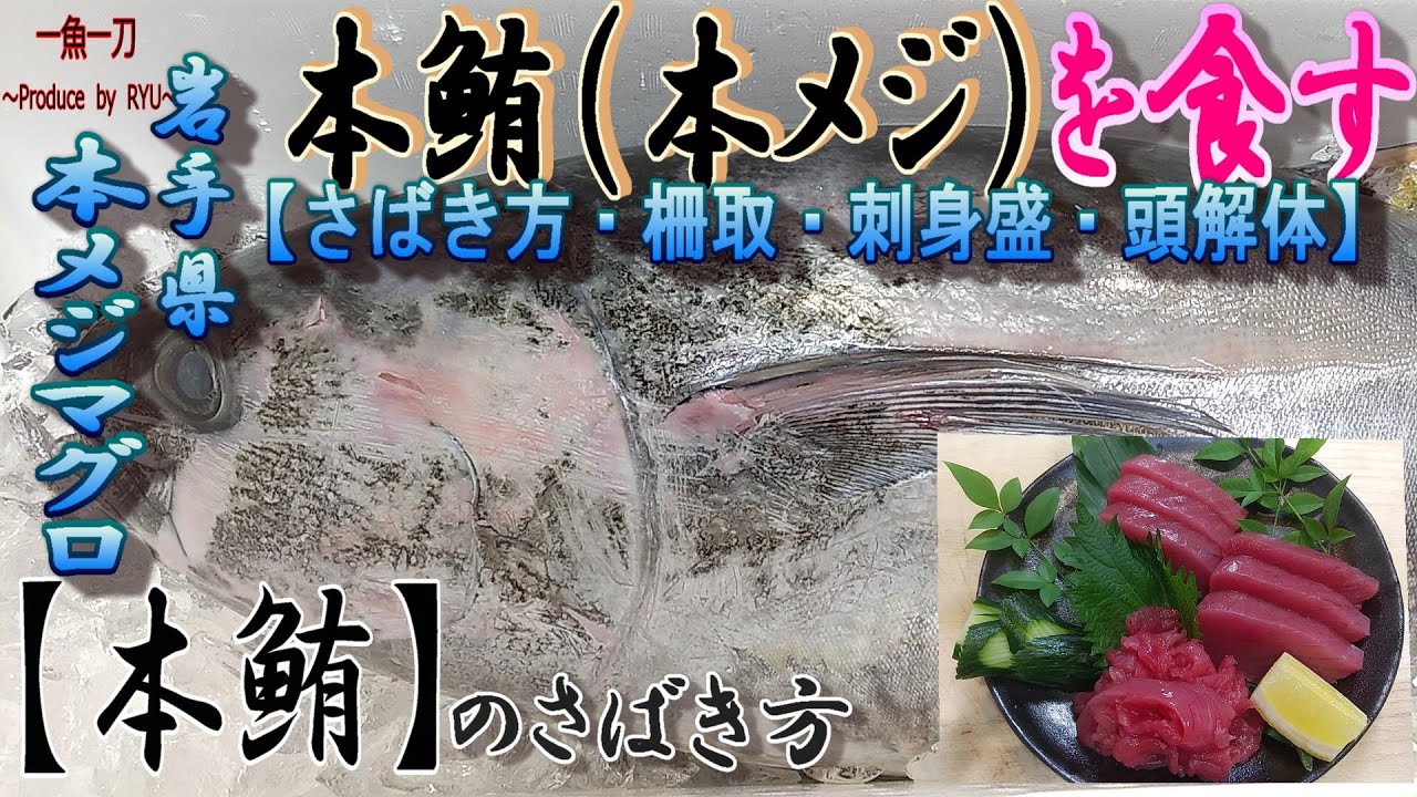 【本鮪】釣り人必見！本メジマグロ（18㎏）のさばき方、柵取、刺身盛、ほほ肉・頭肉・目玉の解体まで全て見せます！
