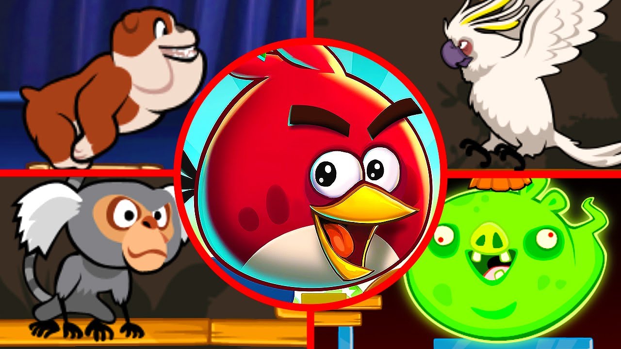 Angry Birds Maker Rio 5 - All Bosses (Boss Fight)