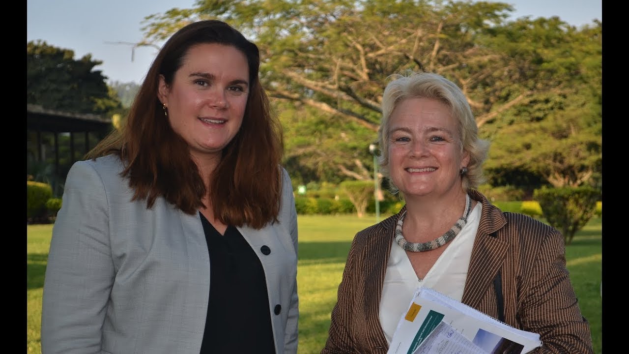 Role of the judiciary in addressing transnational organized crime