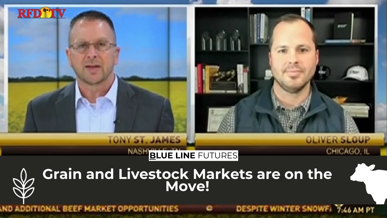 Grain and Livestock Markets are on the Move!